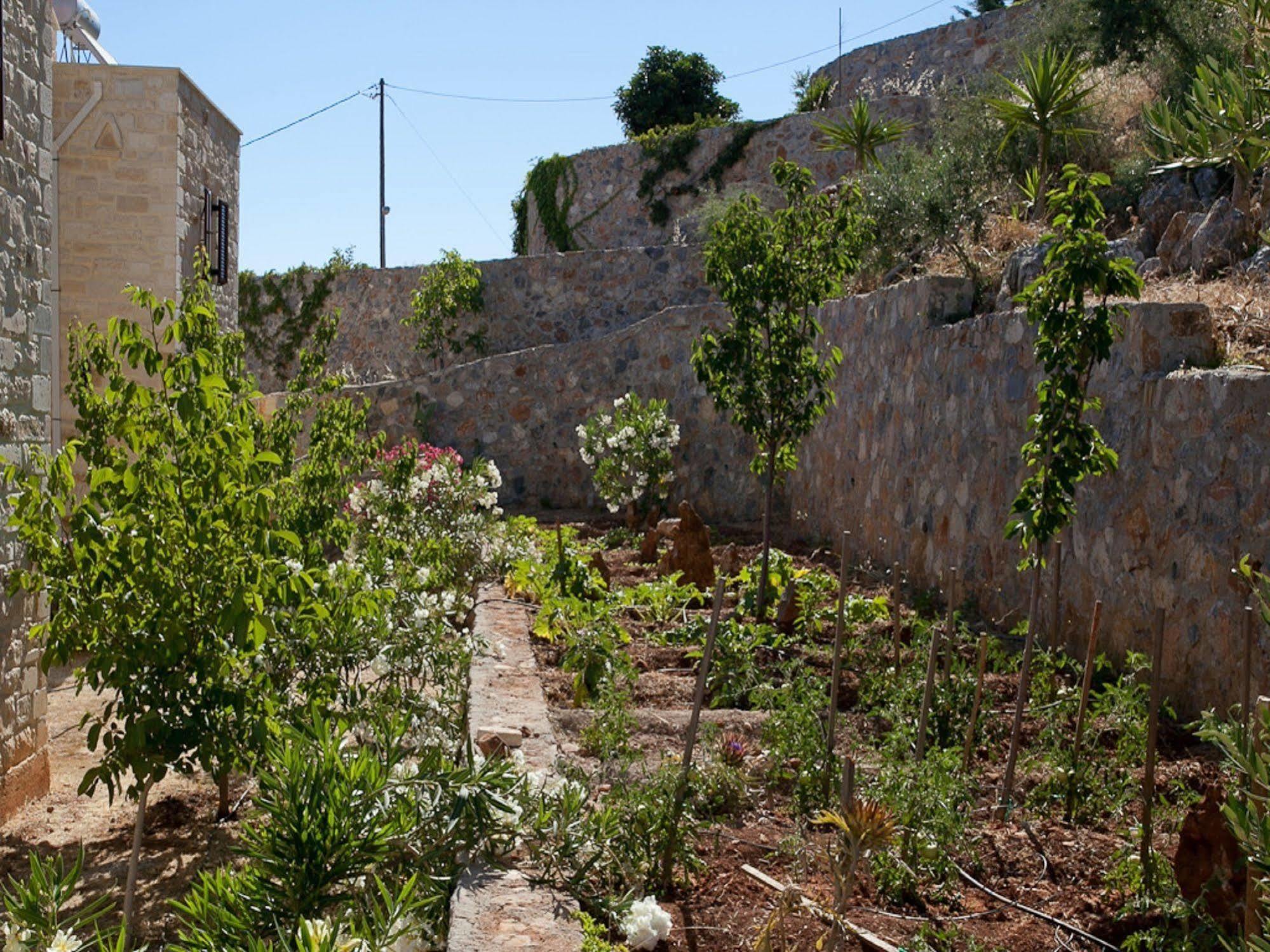 Villa Apollo - Saint George'S Retreat Village Kokkino Chorio Eksteriør billede